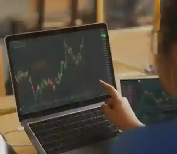 person looking at graph on a laptop screen