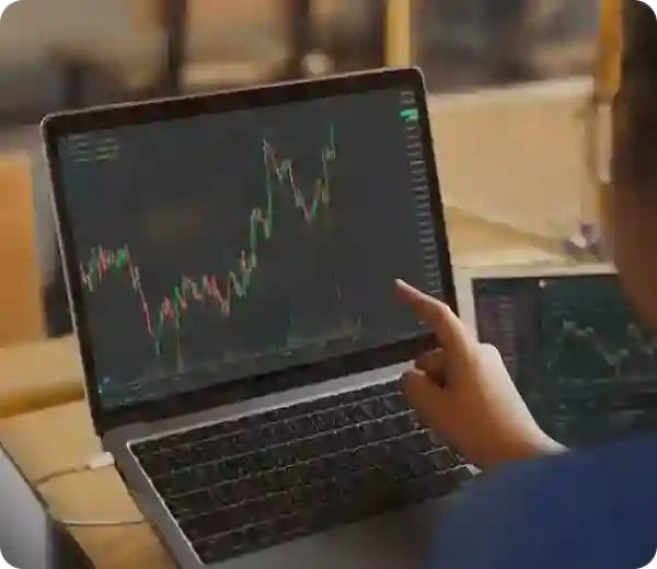 person looking at graph on a laptop screen